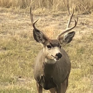 Meet your Posher, Becky